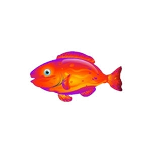 Flame Parrtofish